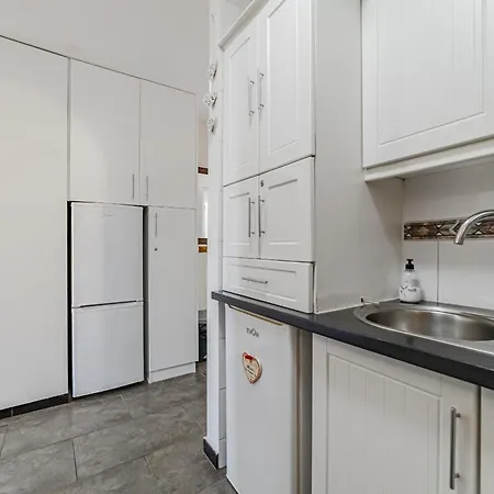 公寓 Noble Playa Fanabe By Altamar Homes *